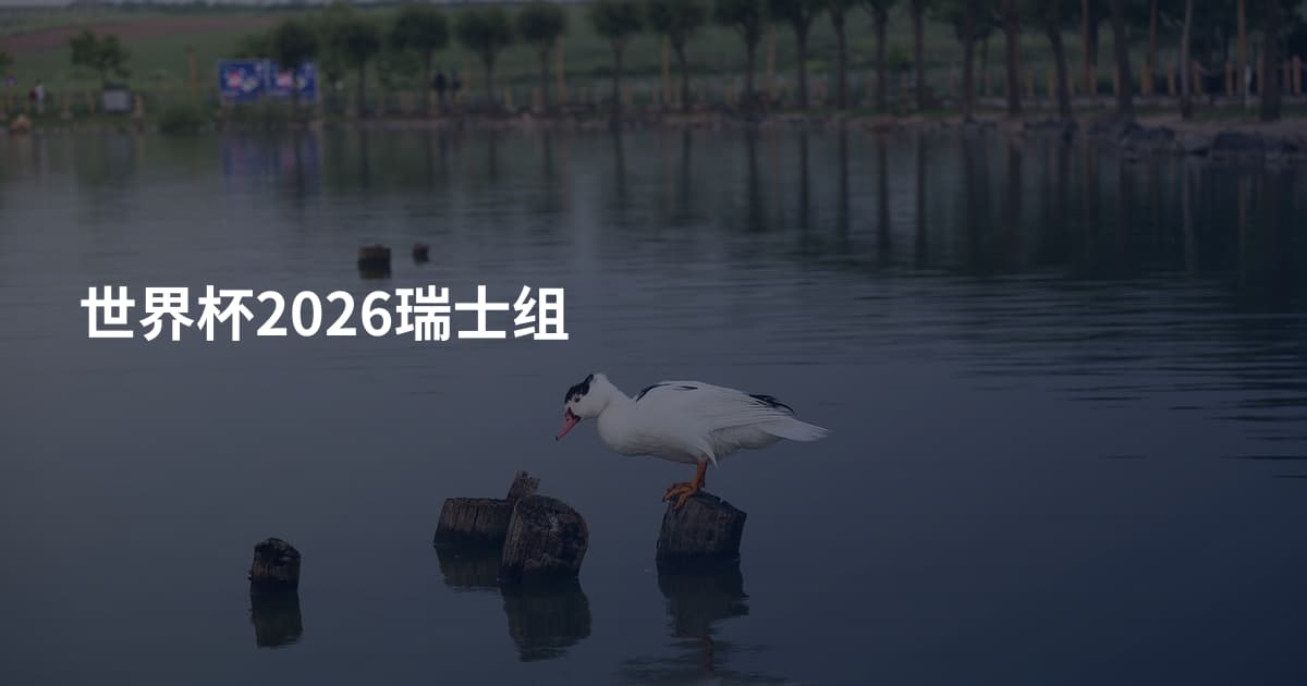 世界杯2026瑞士组