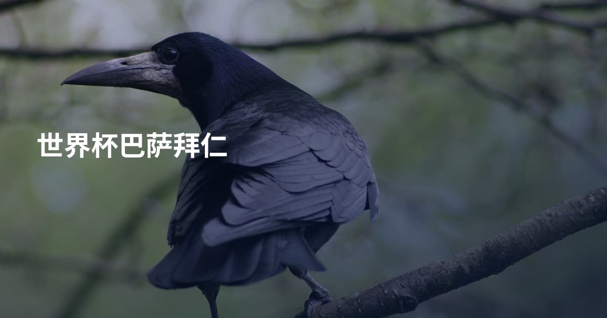 世界杯巴萨拜仁