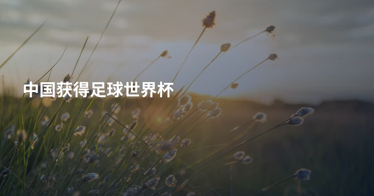 中国获得足球世界杯