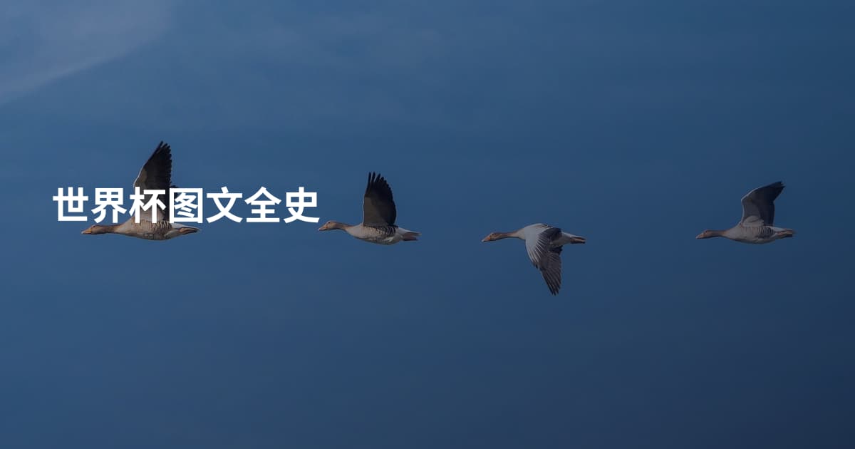 世界杯图文全史