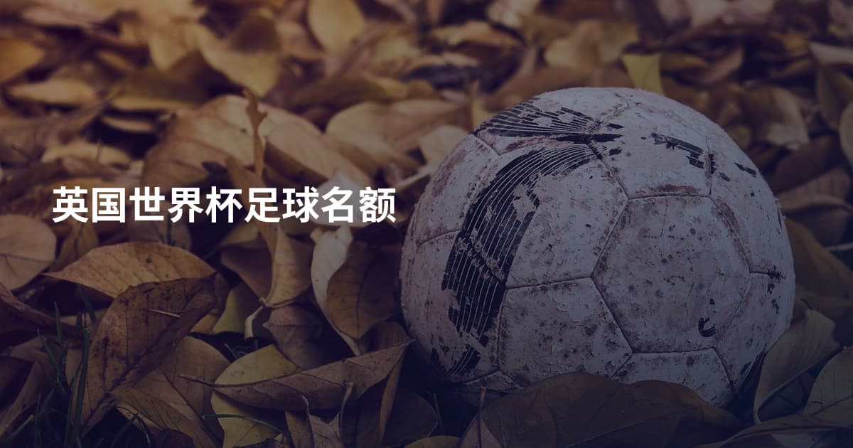 英国世界杯足球名额