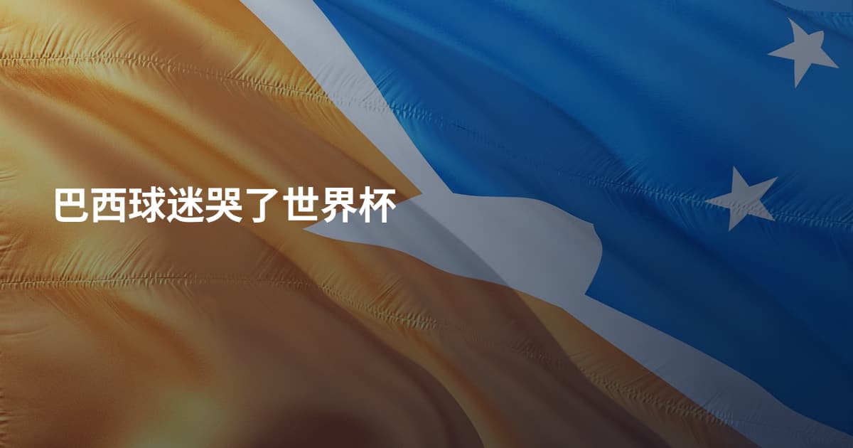 巴西球迷哭了世界杯
