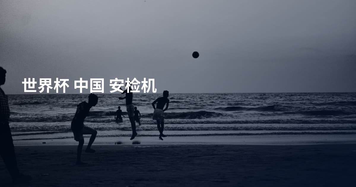 世界杯 中国 安检机