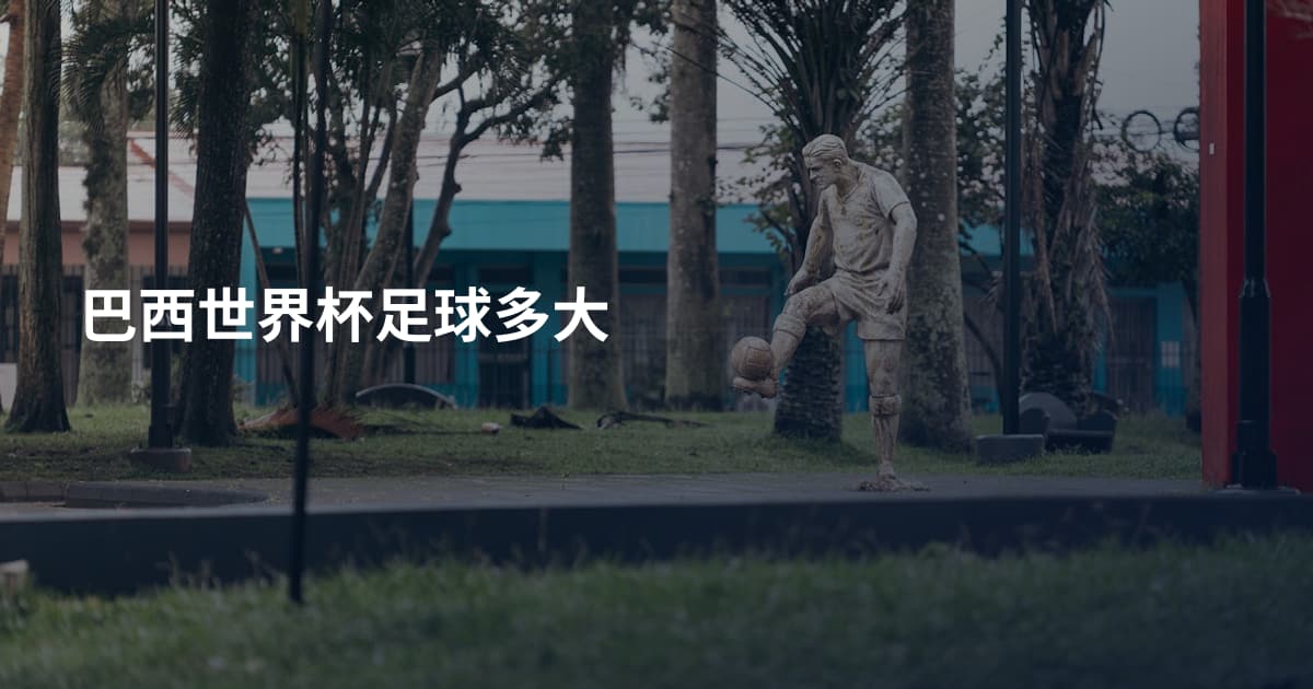 巴西世界杯足球多大