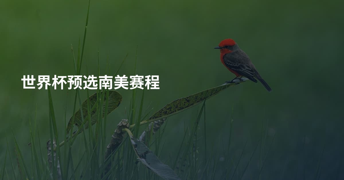 世界杯预选南美赛程