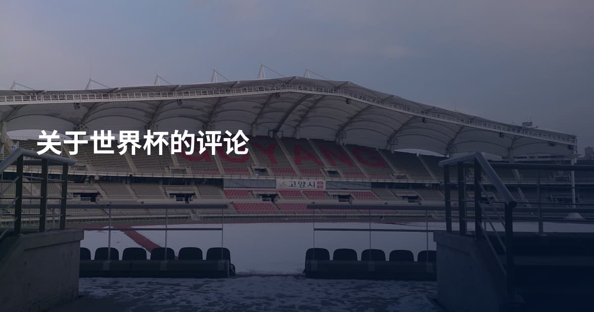 关于世界杯的评论