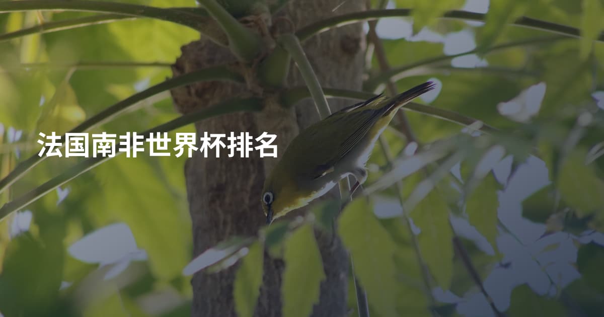 法国南非世界杯排名