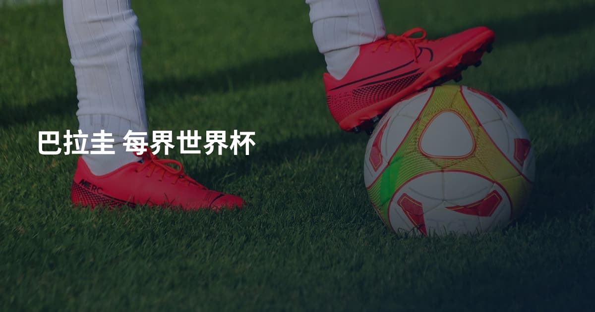 巴拉圭 每界世界杯