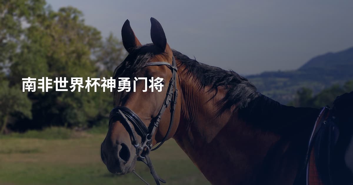 南非世界杯神勇门将