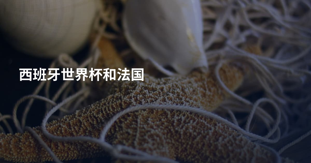 西班牙世界杯和法国