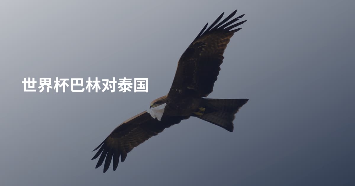 世界杯巴林对泰国