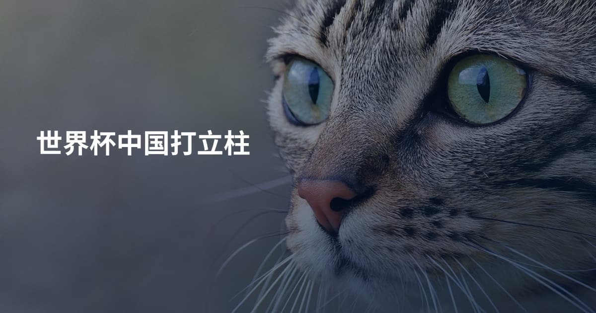 世界杯中国打立柱