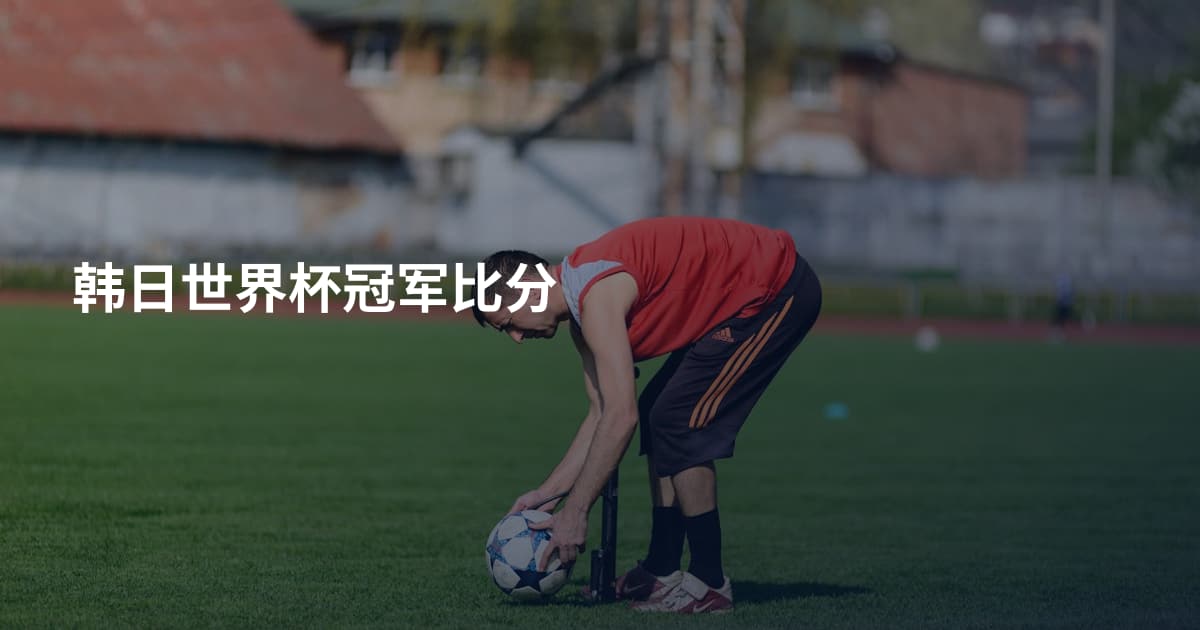 韩日世界杯冠军比分