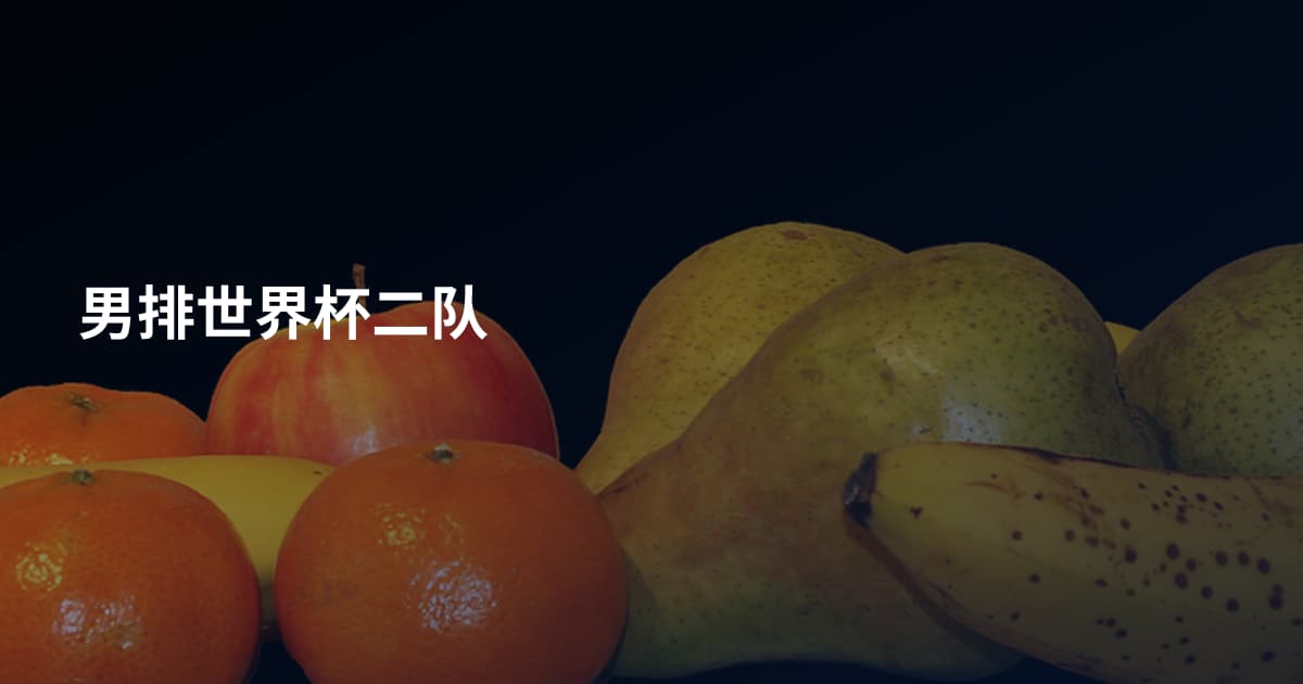 男排世界杯二队