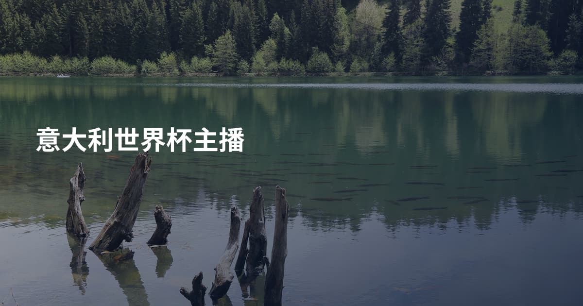 意大利世界杯主播