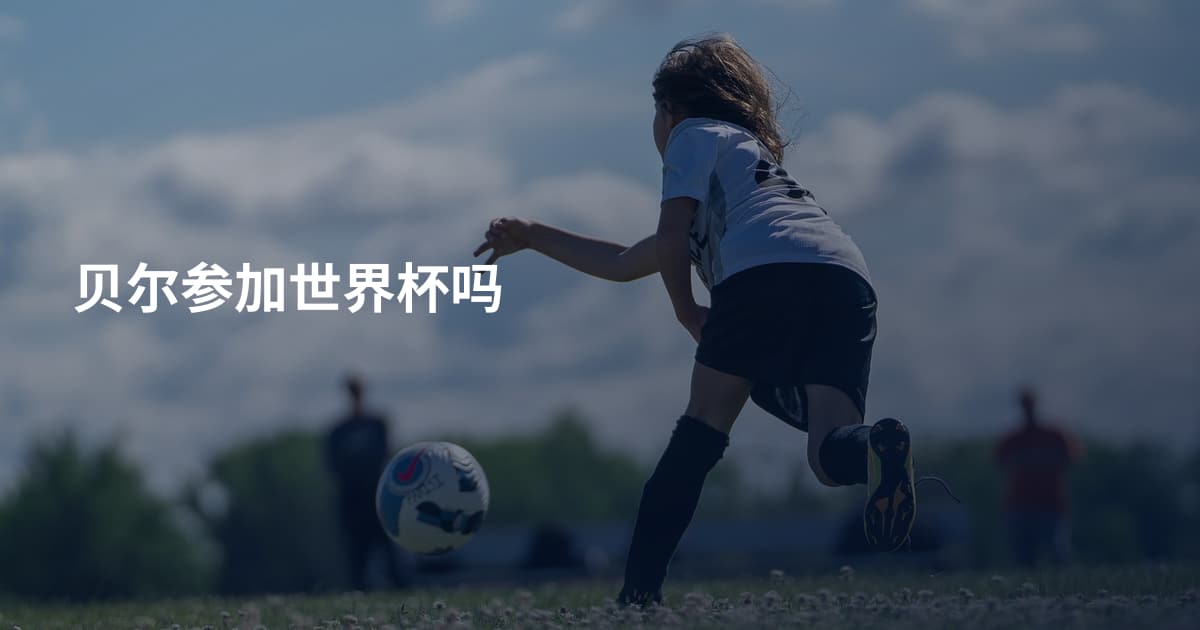 贝尔参加世界杯吗