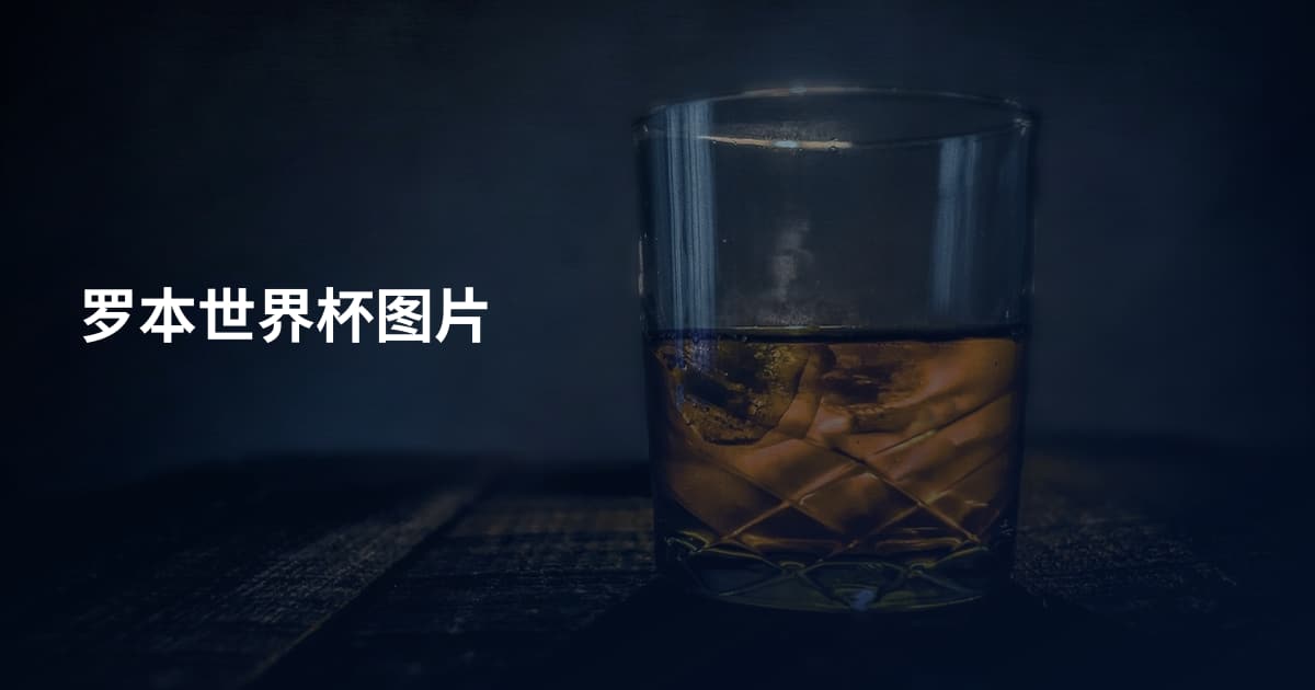 罗本世界杯图片