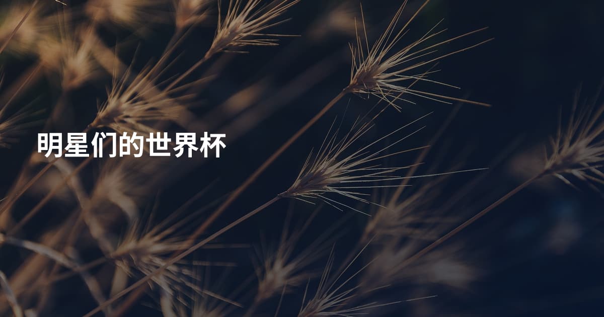 明星们的世界杯