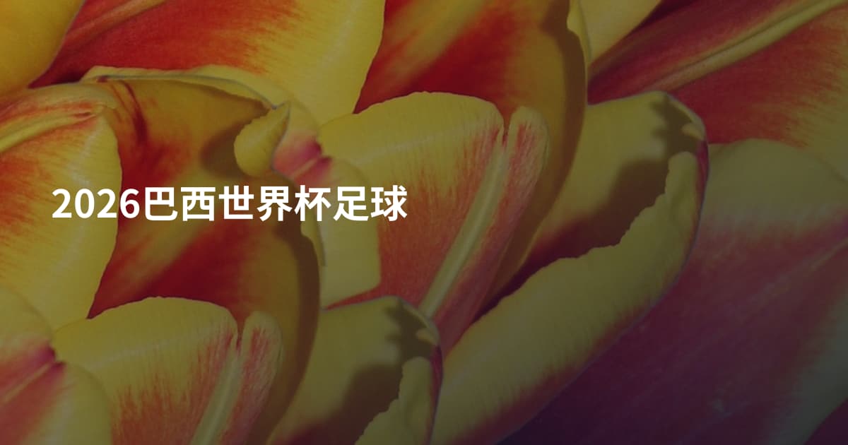 2026巴西世界杯足球