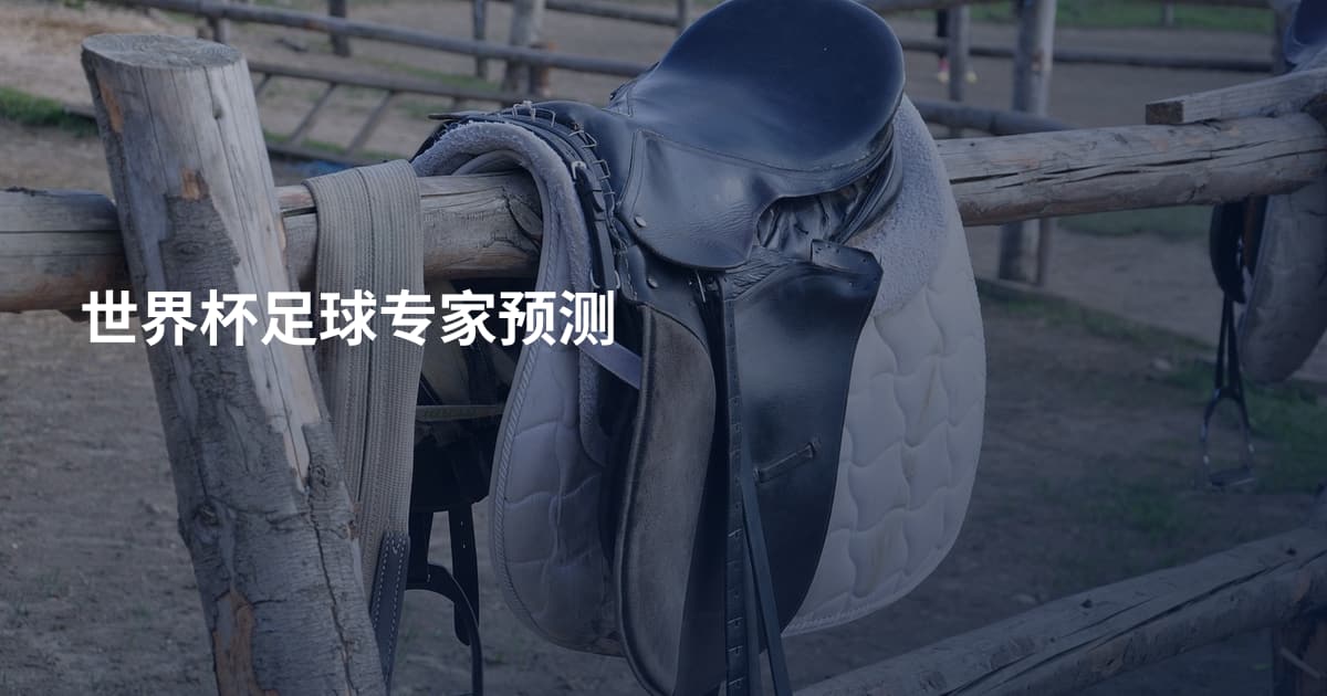 世界杯足球专家预测