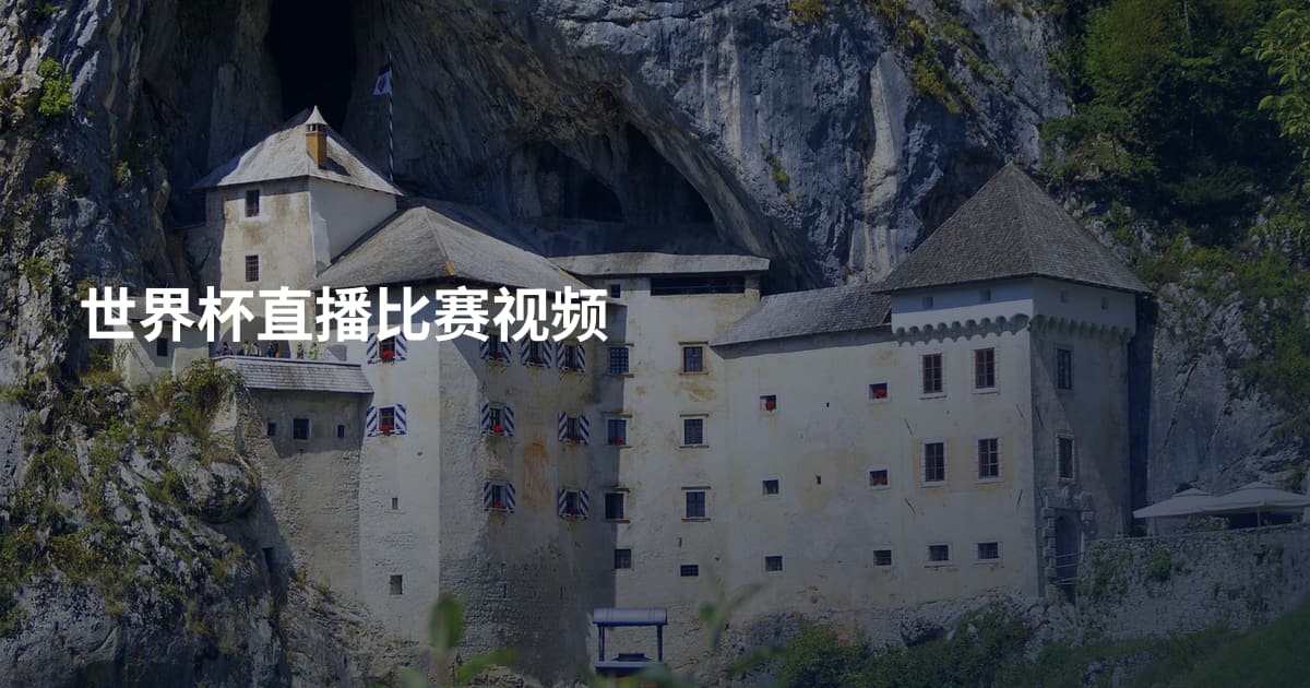 世界杯直播比赛视频