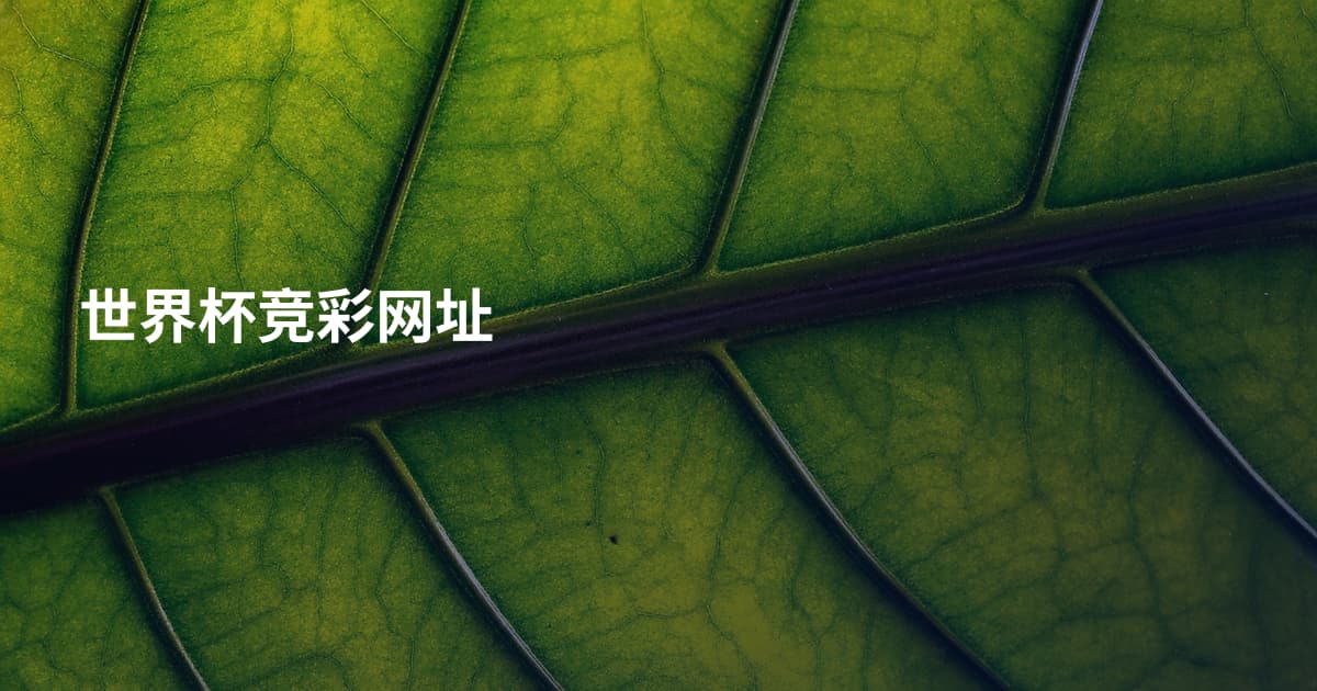 世界杯竞彩网址