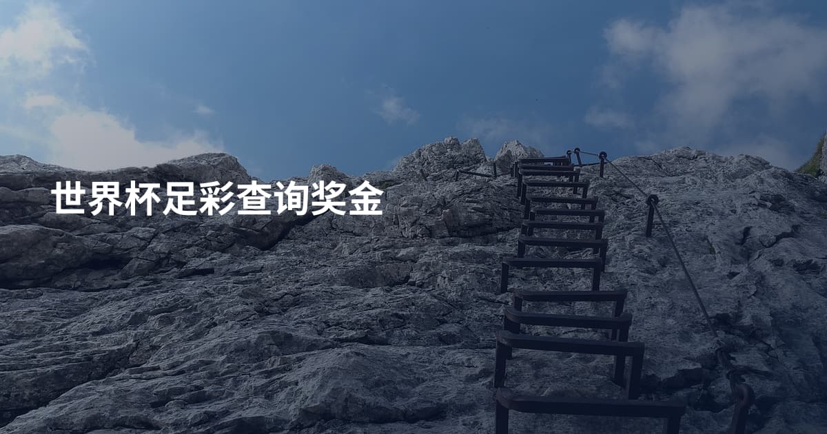世界杯足彩查询奖金
