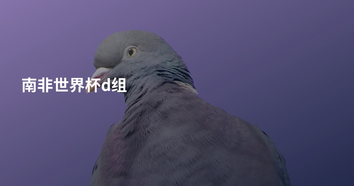 南非世界杯d组