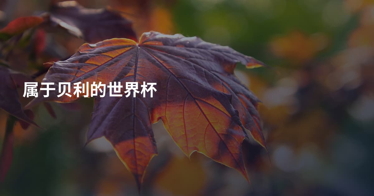 属于贝利的世界杯
