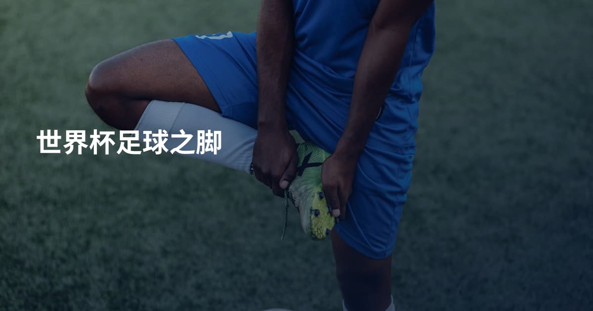 世界杯足球之脚