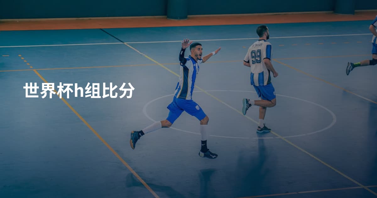 世界杯h组比分