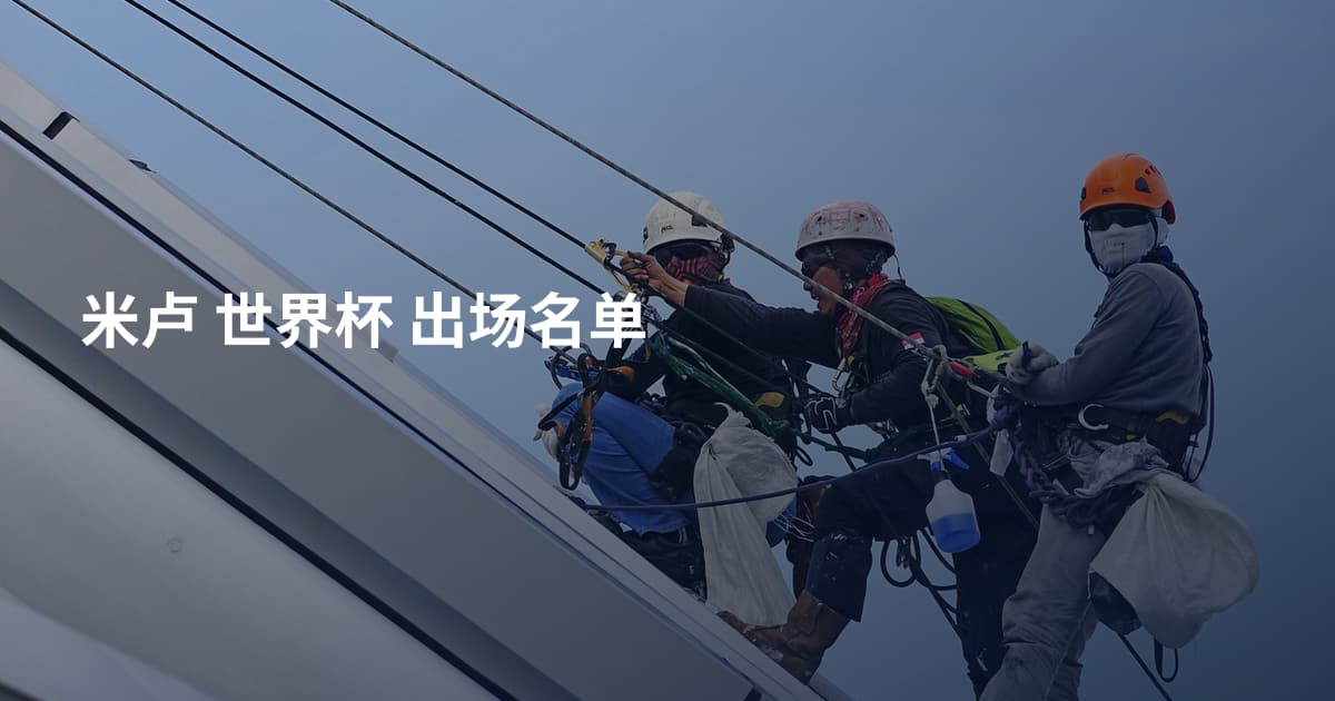 米卢 世界杯 出场名单