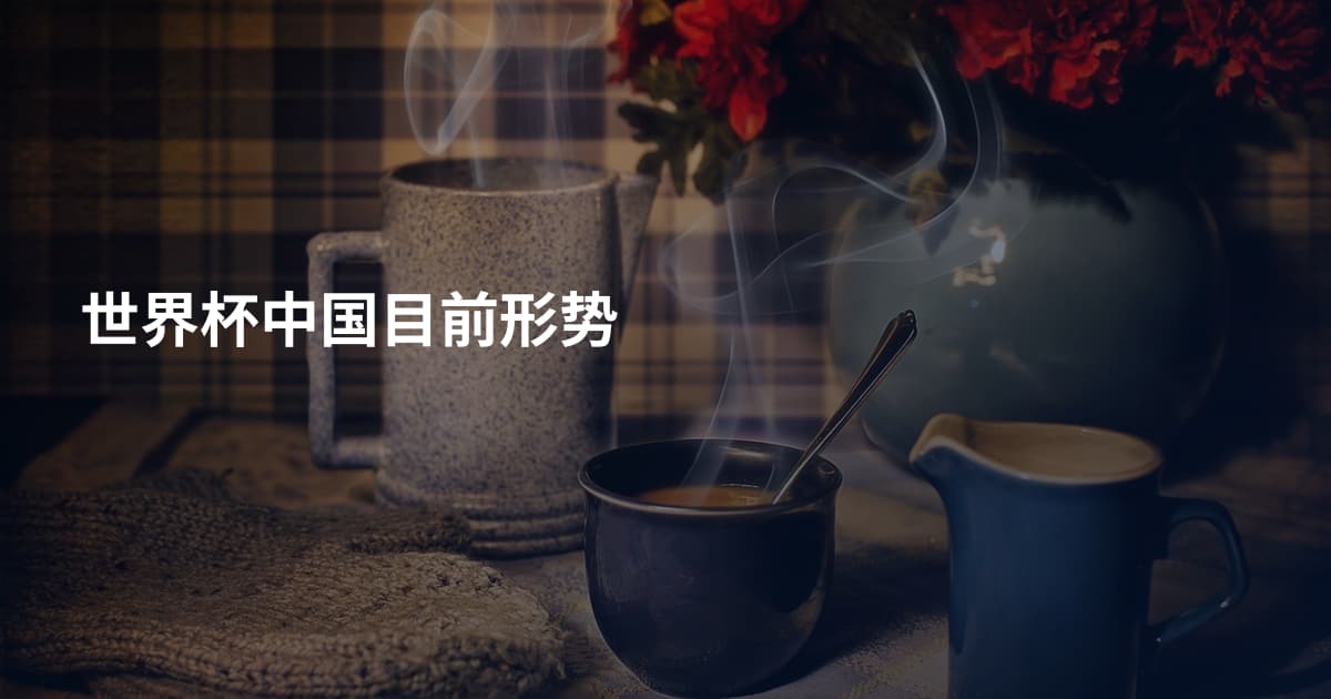 世界杯中国目前形势