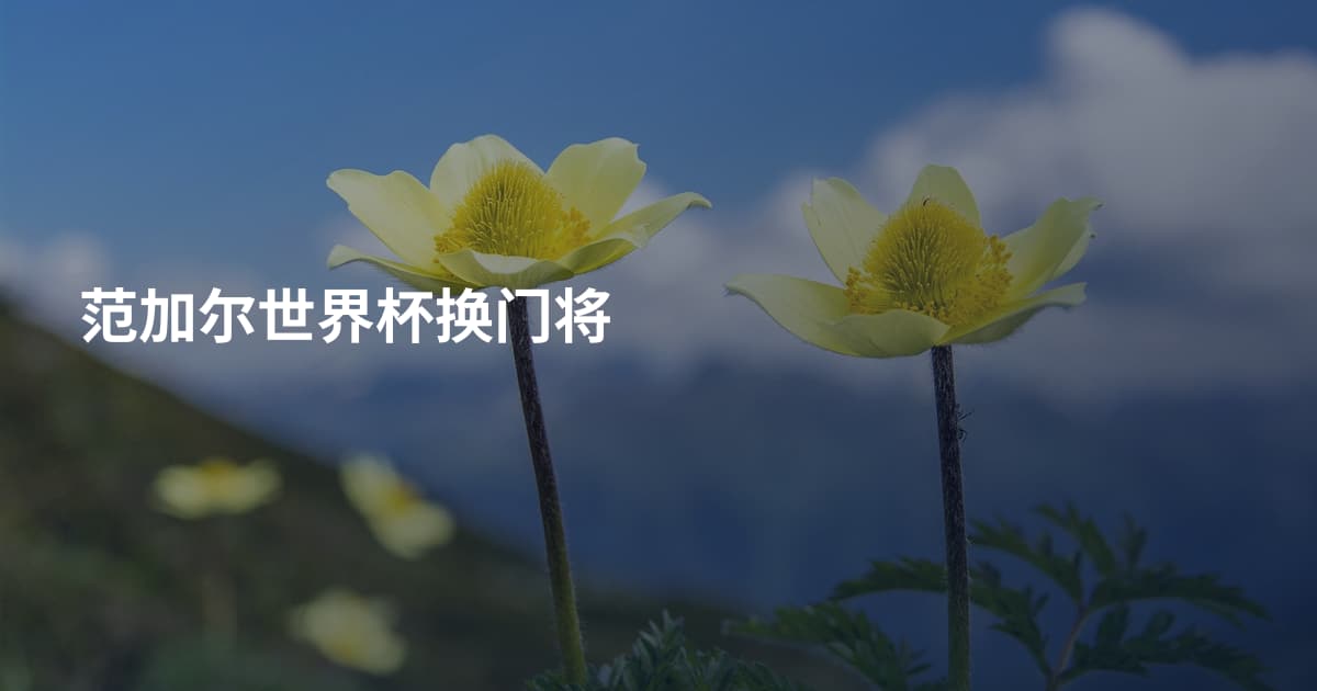 范加尔世界杯换门将