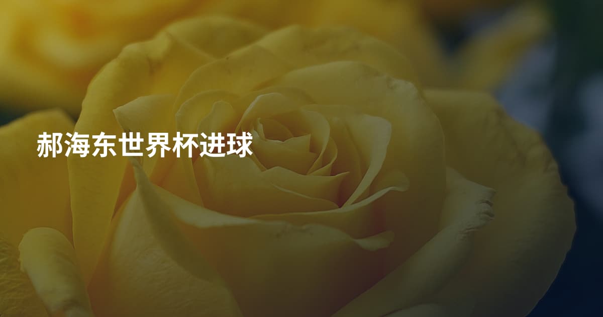 郝海东世界杯进球