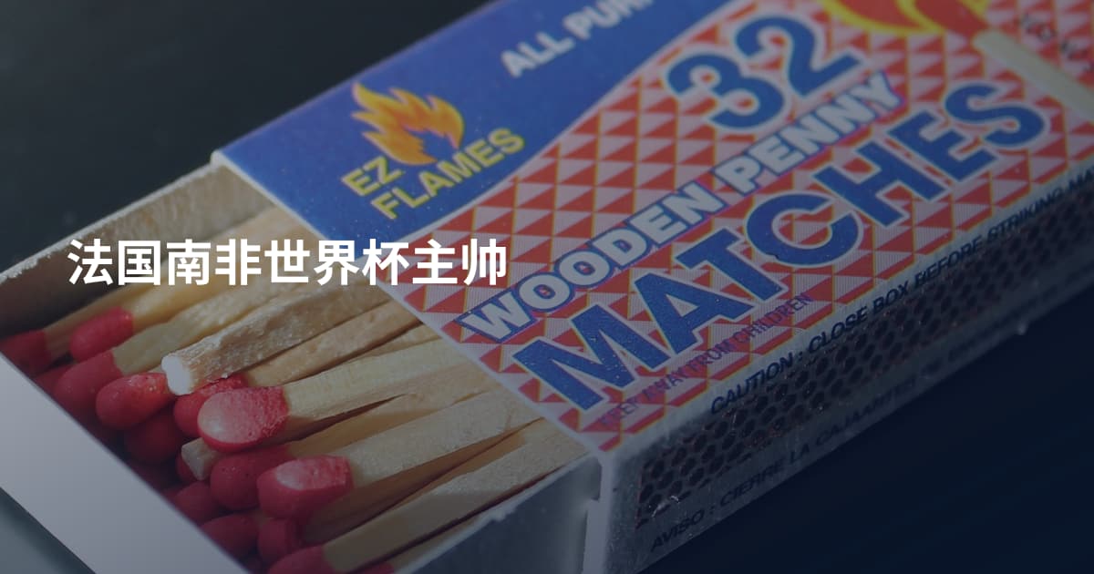 法国南非世界杯主帅