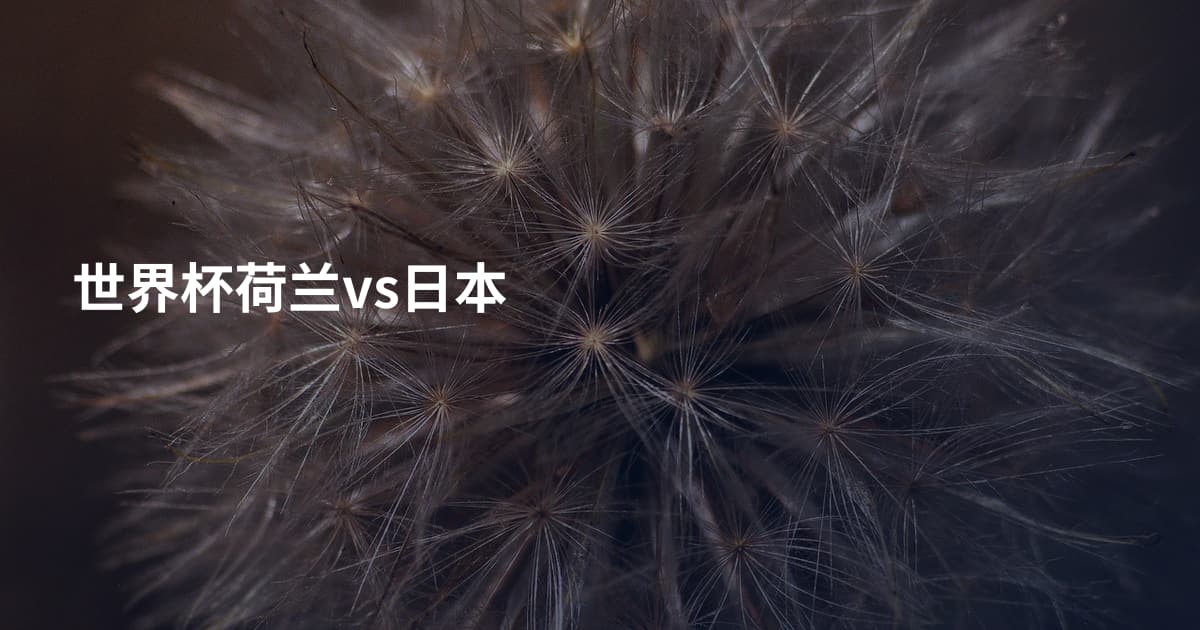 世界杯荷兰vs日本