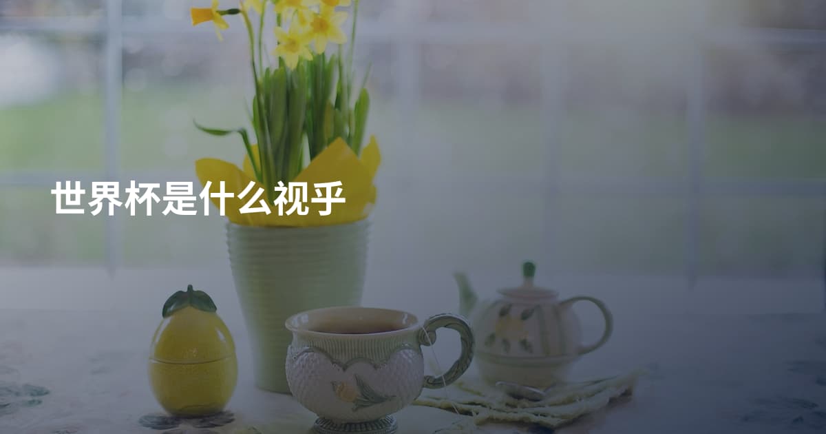 世界杯是什么视乎