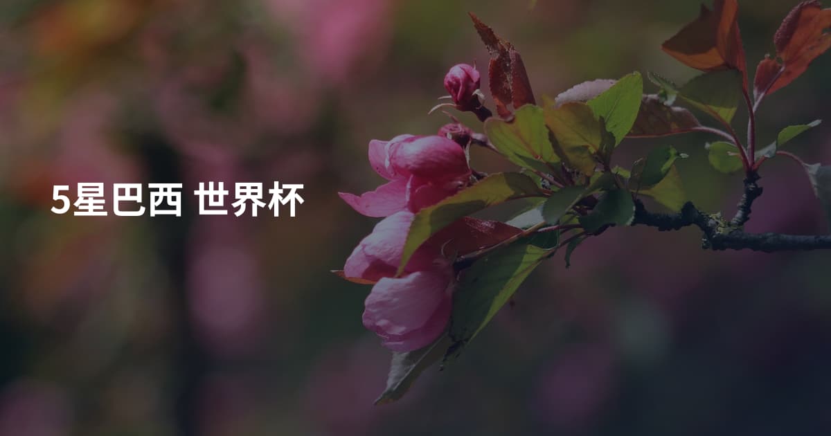 5星巴西 世界杯