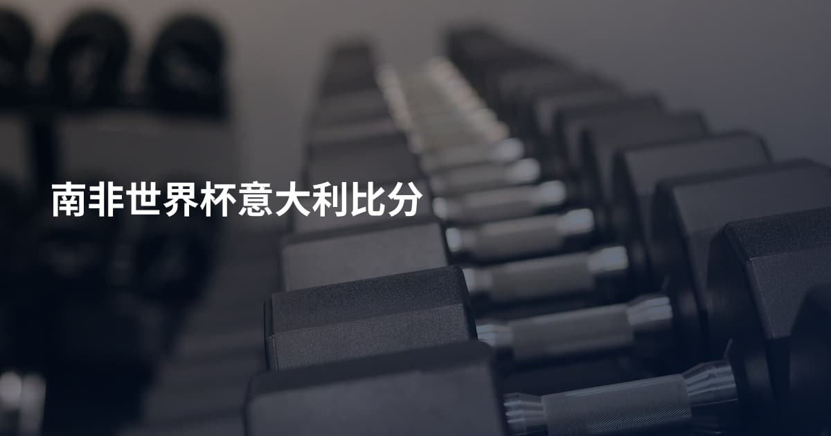 南非世界杯意大利比分