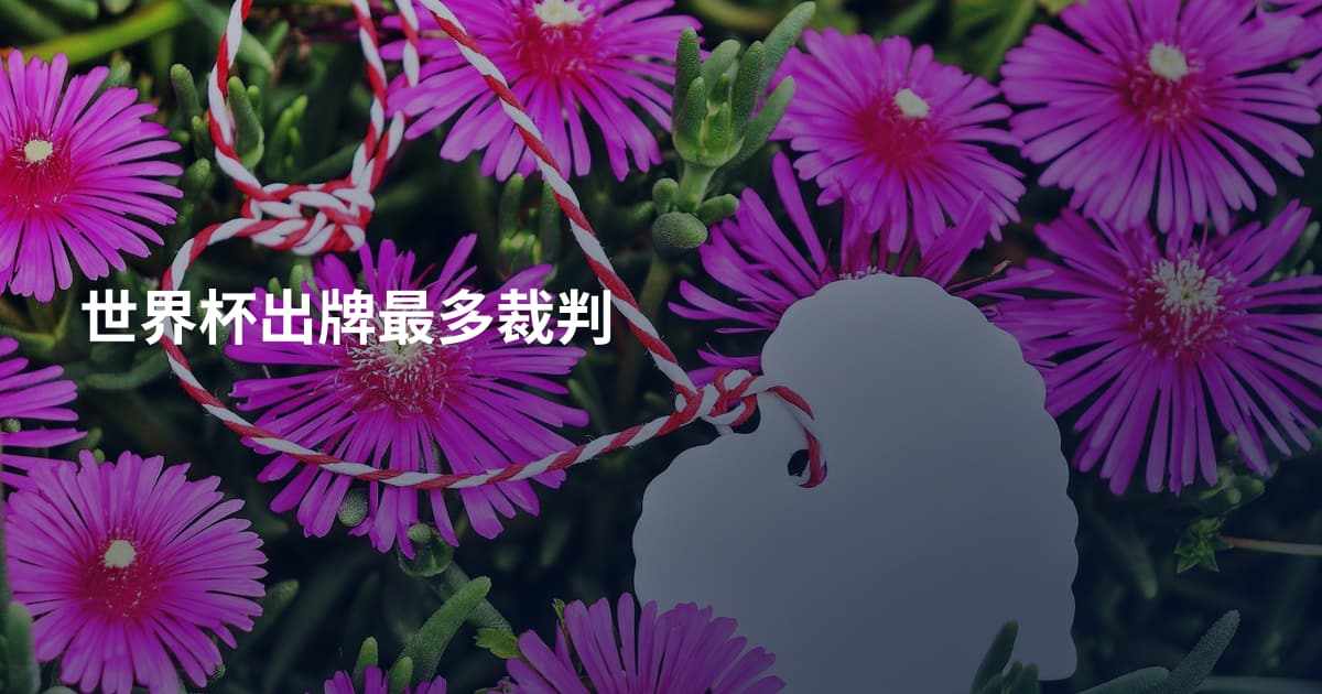 世界杯出牌最多裁判