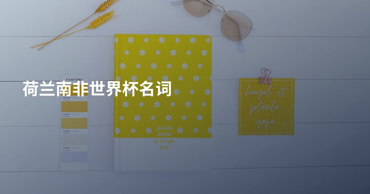 荷兰南非世界杯名词