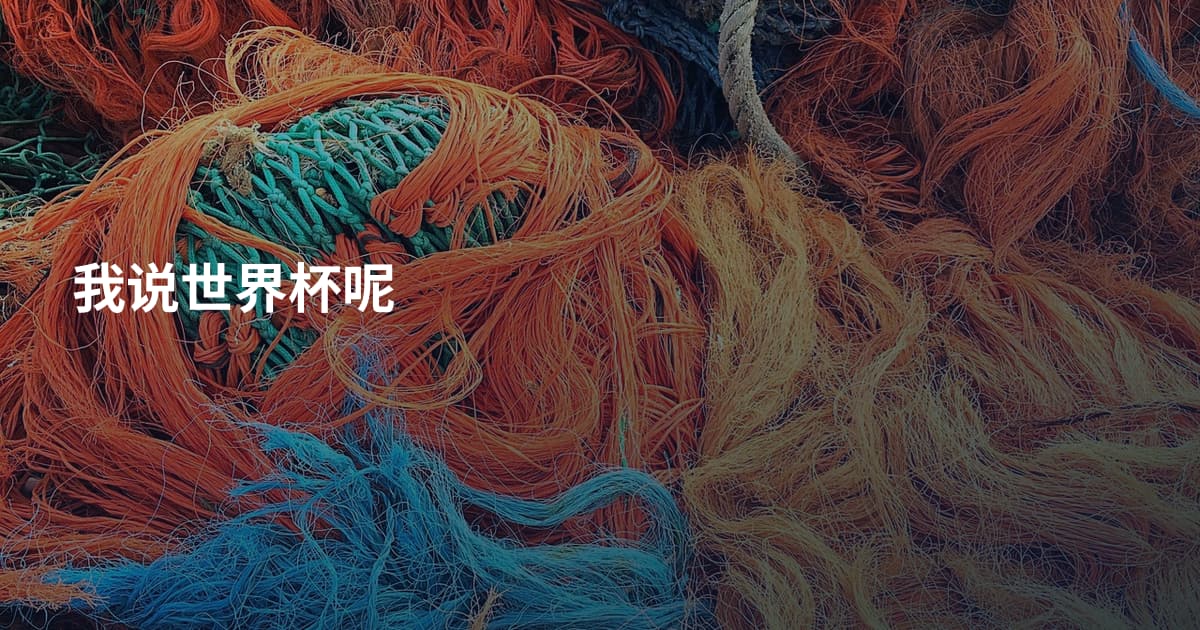 我说世界杯呢