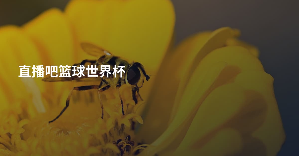 直播吧篮球世界杯