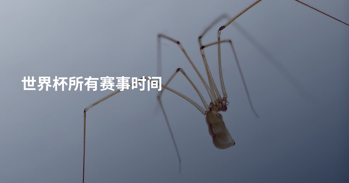 世界杯所有赛事时间