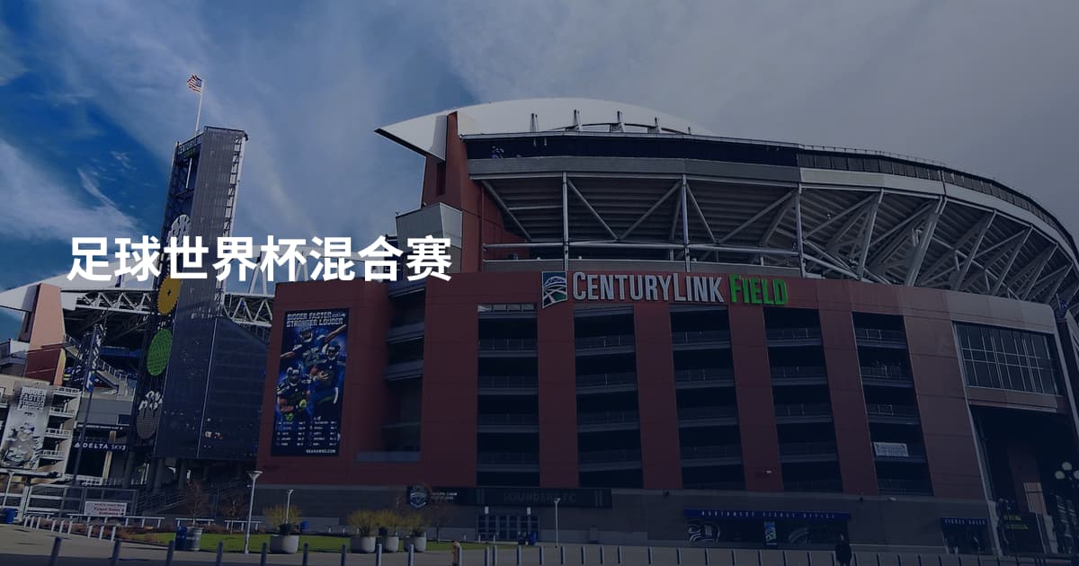 足球世界杯混合赛