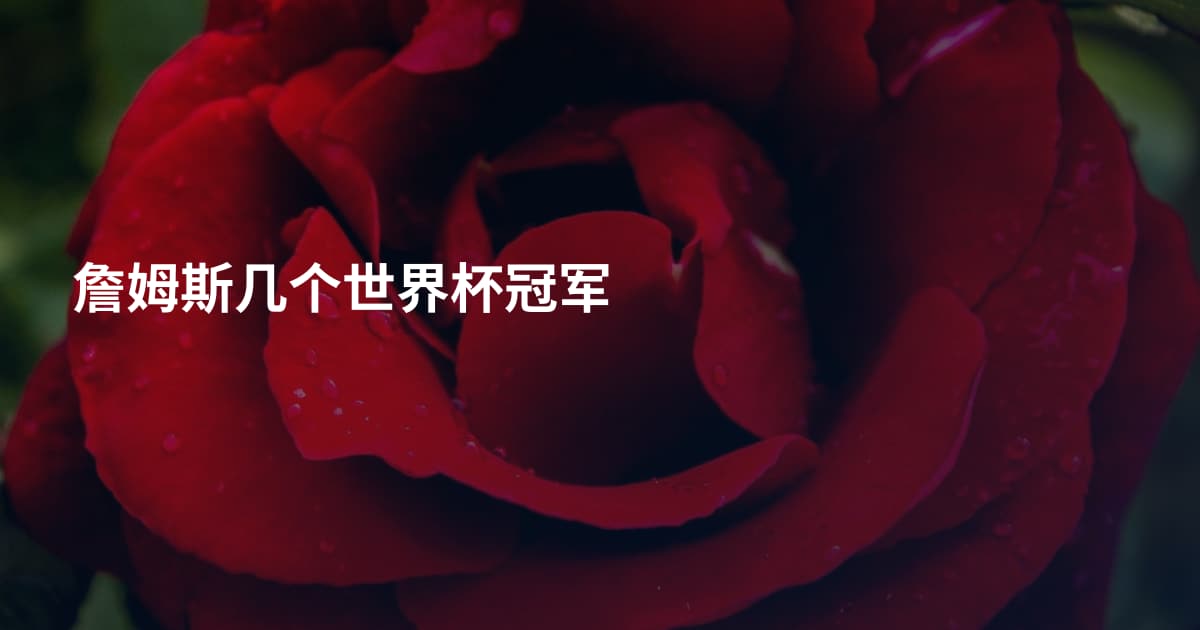 詹姆斯几个世界杯冠军