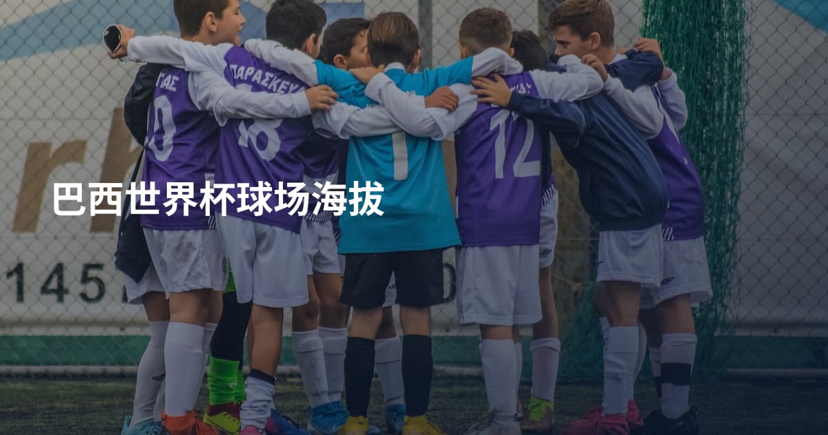 巴西世界杯球场海拔
