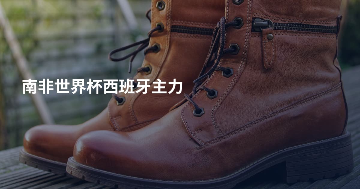 南非世界杯西班牙主力