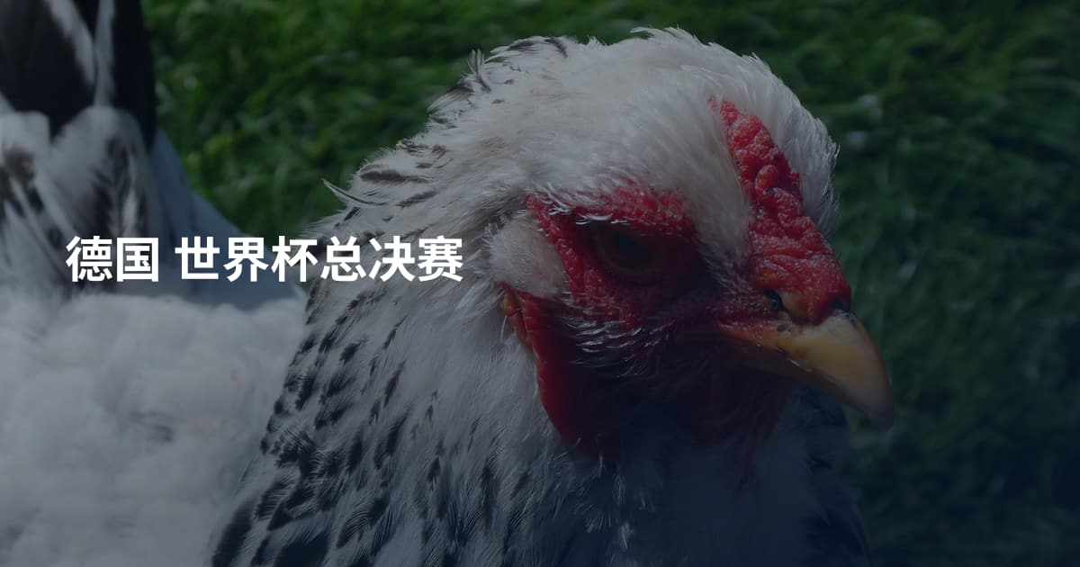 德国 世界杯总决赛